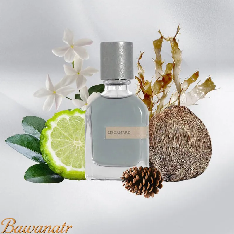 ادکلن اورتو پاریسی مگاماره - رایحهای دریایی و خاص