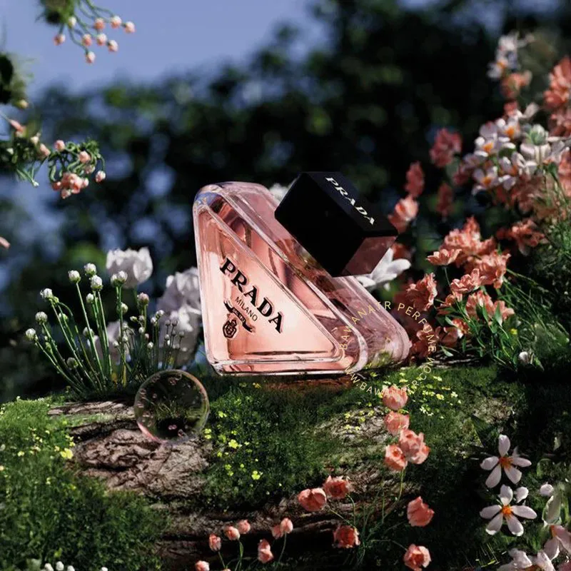 خرید ادکلن پرادا پارادوکس – رایحه مدرن و لطیف